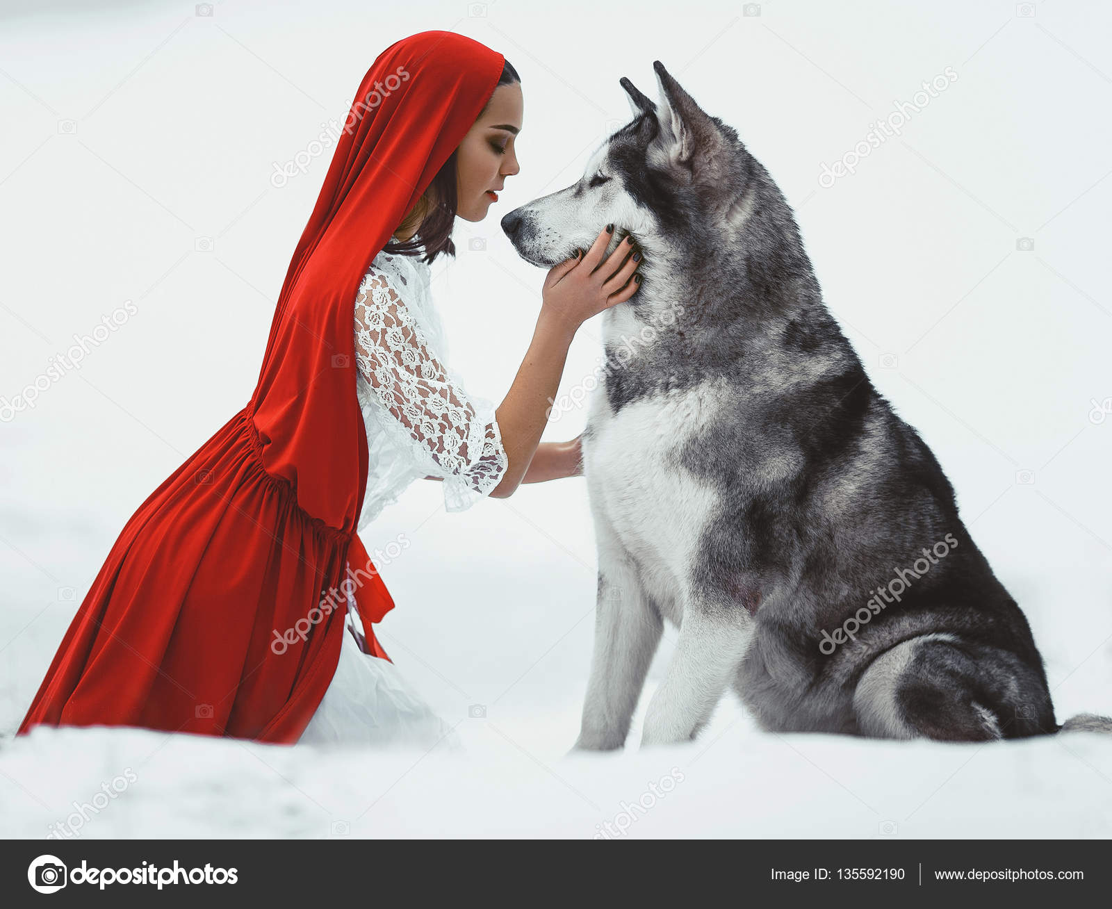 Girl costume Red Riding Hood with dog malamute like a Stock Photo by 135592190