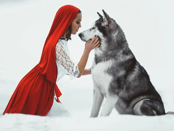 Dziewczyna w stroju jak Little Red Riding Hood z pies Malamut — Zdjęcie stockowe