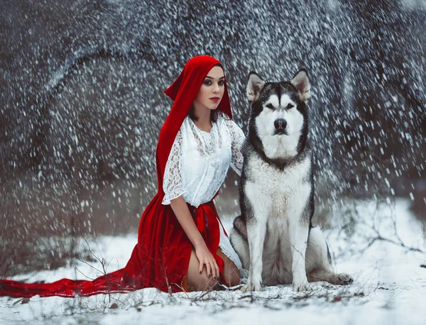 Kırmızı başlıklı kız köpek malamute ile gibi kılık kız bir — Stok fotoğraf