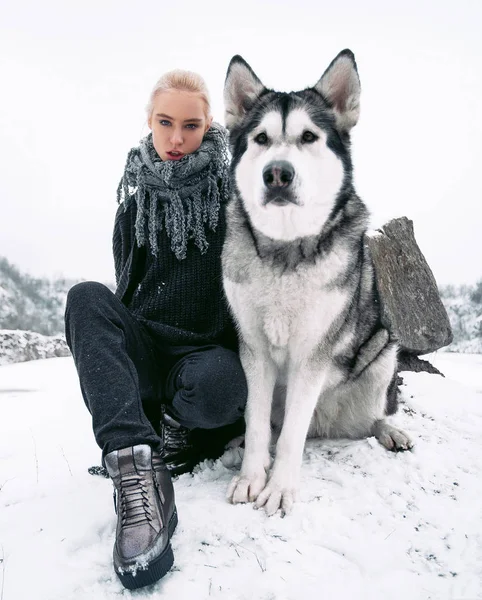 Lány, nagy malamute kutya, háttérben a sziklák, a téli. — Stock Fotó