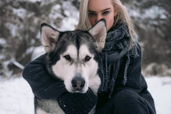 女孩与大阿拉斯加雪橇犬狗冬天背景上的肖像. — 图库照片