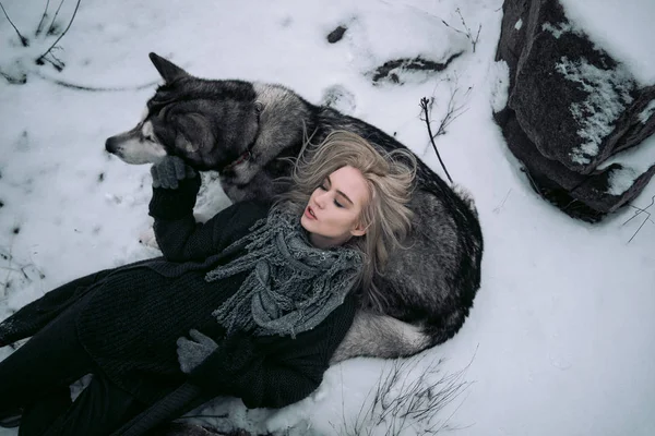 Fille avec grand chien malamute sur fond d'hiver . Photo De Stock