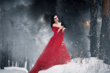 Woman witch in red dress and with raven in her hands in snowy forest. Around can be seen fire and smoke.