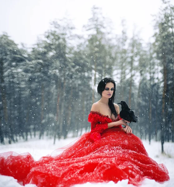 Woman witch in red dress with raven in her hand sits on snow in forest — Zdjęcie stockowe