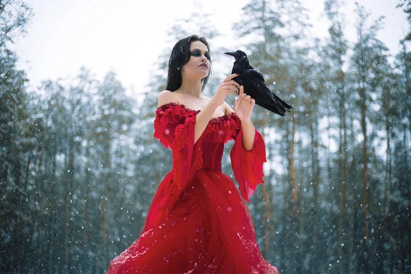 Woman witch in red dress and with raven in her hands in snowy forest — Stok fotoğraf