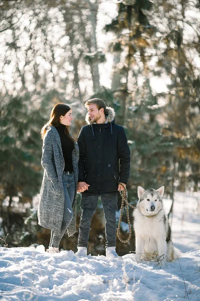Chica y chico para caminar en el bosque de invierno con perro malamute . — Foto de Stock