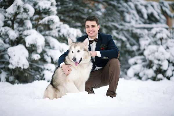冬の雪の中で座っている犬マラミュートと新郎します。. — ストック写真