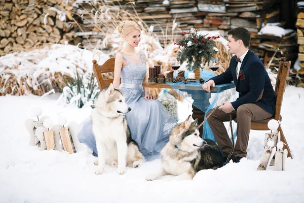 Novia y novio en invierno con dos perros malamute sentado a la mesa . — Foto de Stock