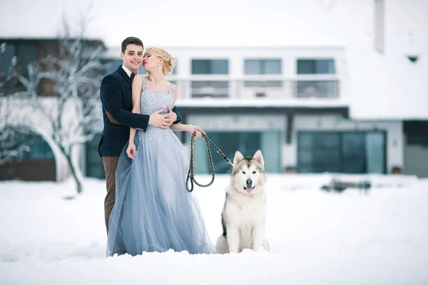 Bride and groom in winter with dog malamute in snow. — Stock Photo, Image