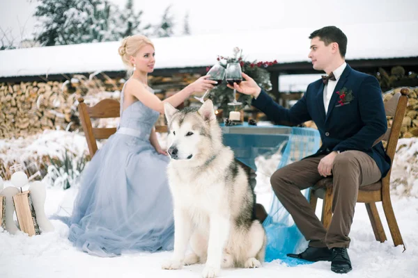 Bride and groom in winter with dog malamute sitting at table. — Stock Photo, Image