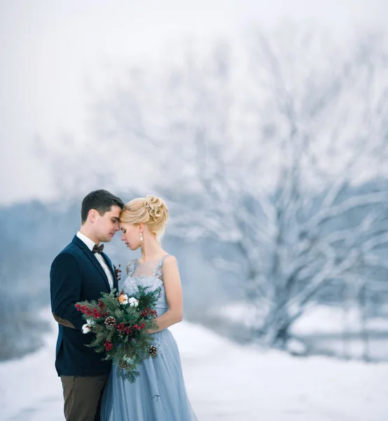 Bruden och brudgummen bland snöiga landskap. — Stockfoto