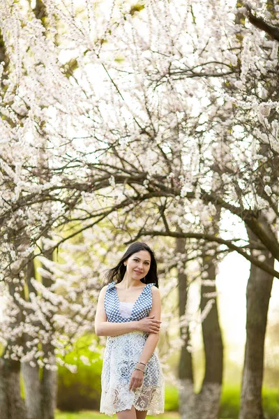 Junge Frau im blühenden Marillengarten. — Stockfoto
