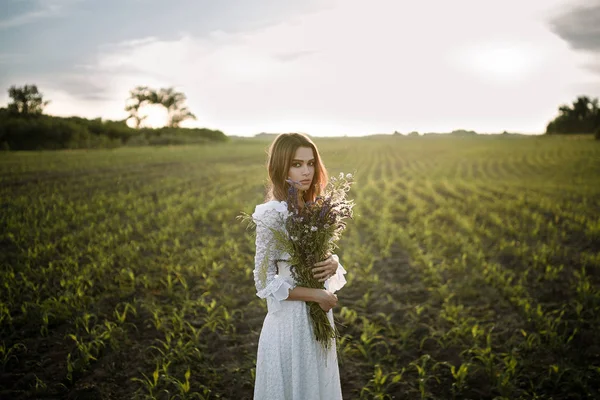 Jeune femme en longue robe en dentelle blanche sur champ de maïs . — Photo