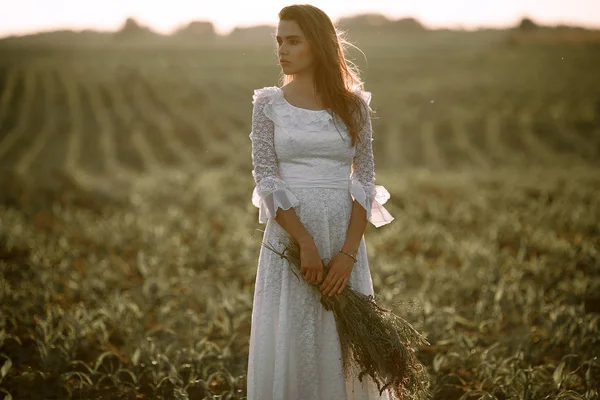 Mujer joven en vestido largo de encaje blanco en maizal . — Foto de Stock