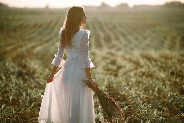 Mladá žena v dlouhé bílé krajkové šaty na kukuřičném poli. Pohled zezadu. — Stock fotografie