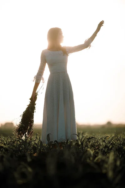 Jonge vrouw in lange witte lace dress op cornfield. — Stockfoto