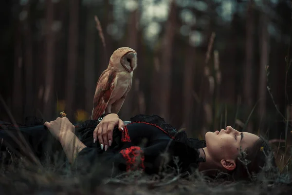 Menina encontra-se com coruja na grama na floresta . — Fotografia de Stock