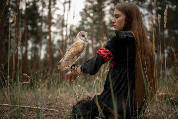 Menina senta-se na grama com coruja na mão na floresta . — Fotografia de Stock