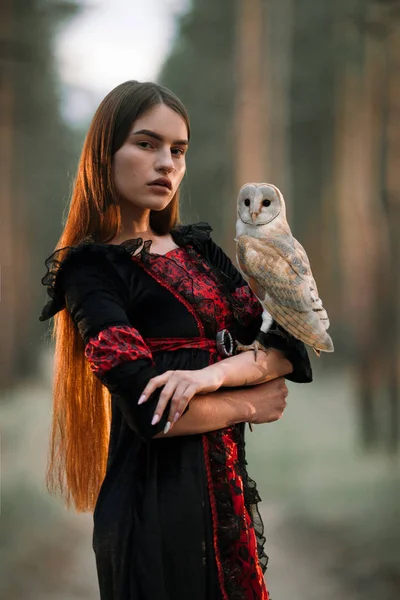 Retrato de niña en el bosque con búho en la mano. Primer plano . —  Fotos de Stock