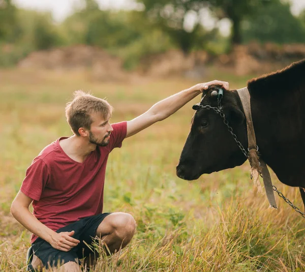 Smiling young man caresses cow on meadow.