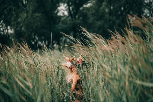 Hermosa niña en la imagen de la ninfa va entre caña . —  Fotos de Stock