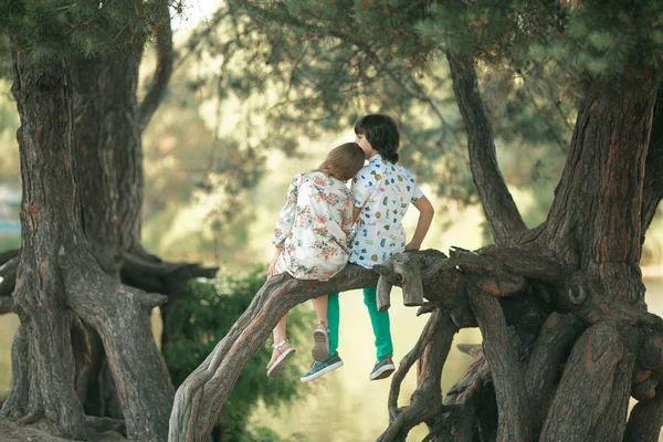 Liten flicka och pojke sitta på trädgren och sätta huvudet på axeln. — Stockfoto