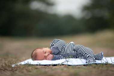 Parkta çim üzerinde yeni doğan bebek uyur. Kopyalama alanı üst.