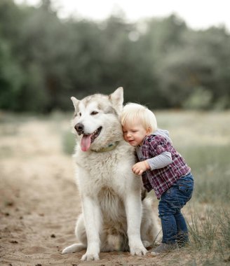 Küçük bir çocuk duruyor ve ormanda Malamute köpek yürüyüş için hugs.