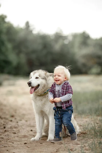 Little boy stands near malamute dog on walk in forest and laugh — Stock Photo, Image
