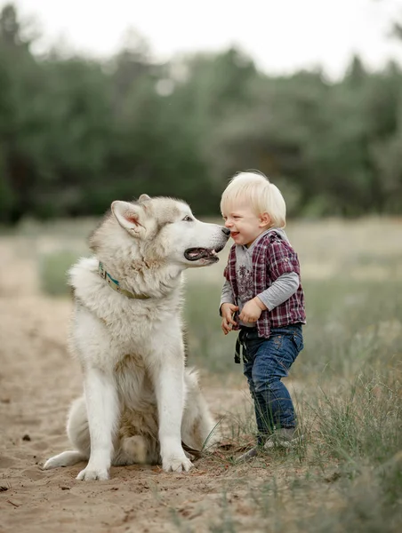 Little boy stands near malamute dog on walk in forest and smiles — Stock Photo, Image