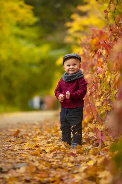 Dítě chlapec jde v parku na pozadí barevných podzimních l — Stock fotografie