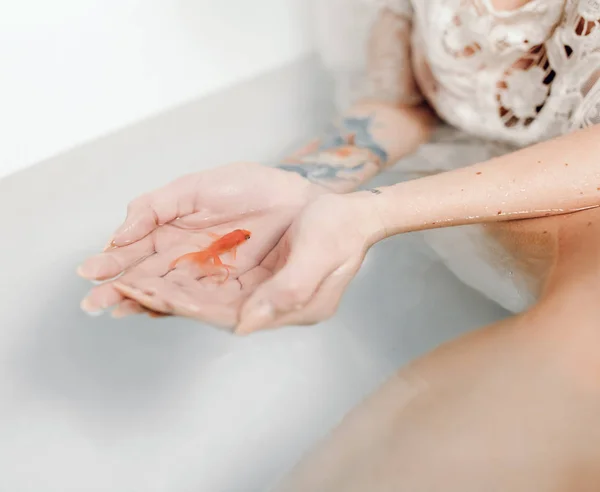 女人手里拿着水的浴缸里握着金鱼的手掌。特写. — 图库照片