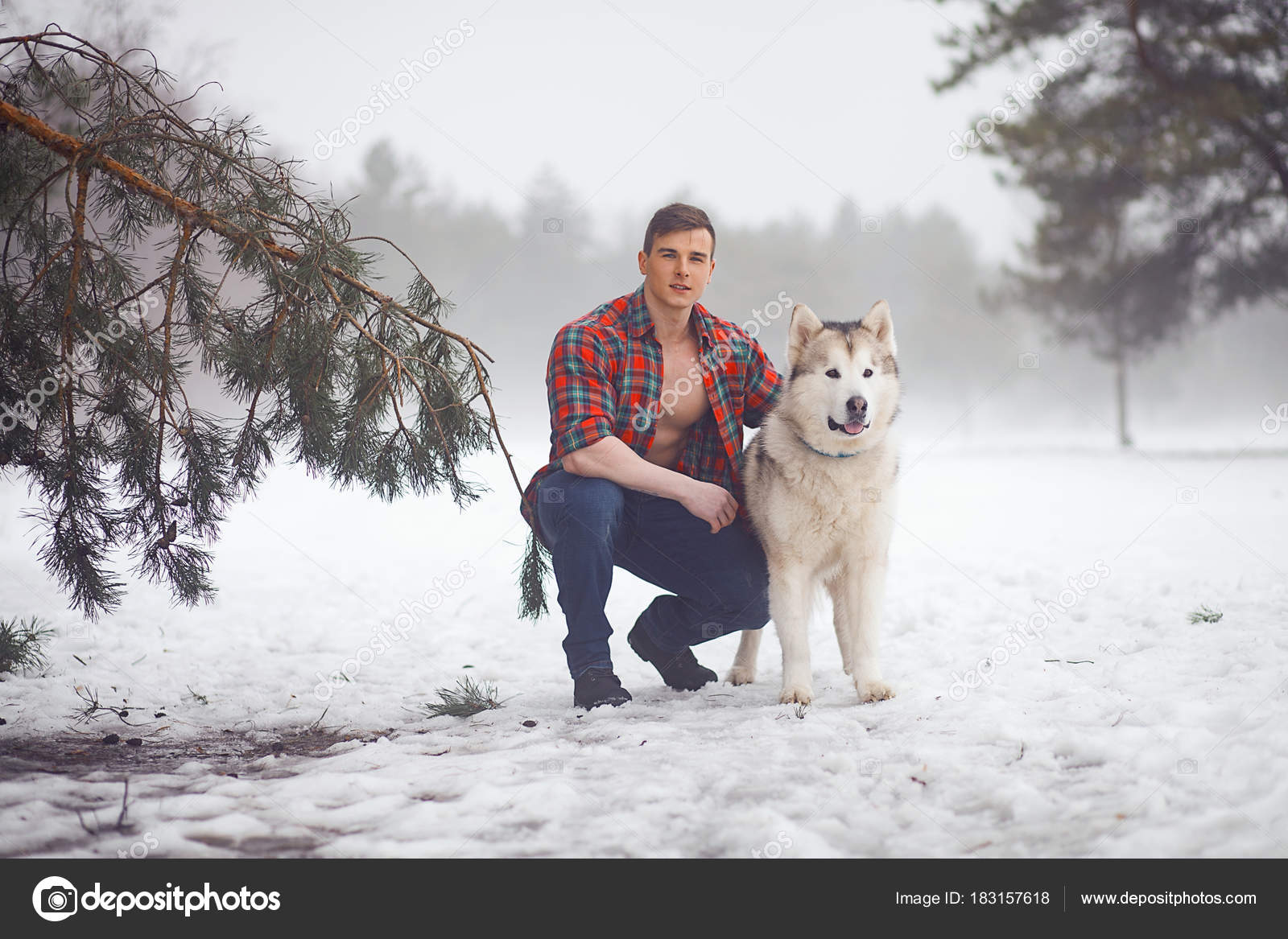 Malamute man best sale