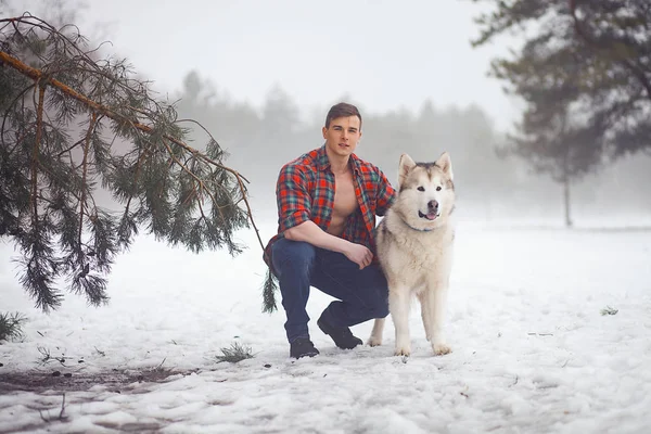 Bunca tişörtlü genç kaslı adam oturur ve köpek yürüme kış puslu ormandaki Malamute sarılarak.