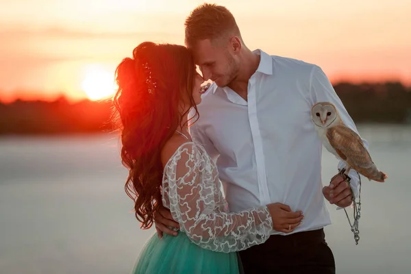 Noiva e noivo com pequena coruja estão de pé e abraçando no fundo do pôr do sol. Fechar. . — Fotografia de Stock
