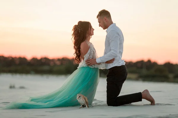 La novia y el novio se arrodillan y se miran uno al lado del búho en el desierto . — Foto de Stock