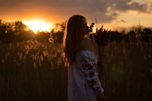 Mujer joven en Ucrania camisa bordada nacional camina a través del prado al atardecer . —  Fotos de Stock