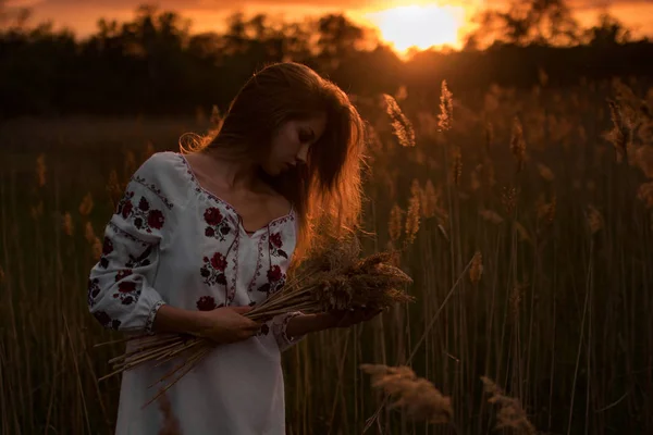 Jovem mulher em ucraniano camisa bordada nacional caminha através do prado ao pôr do sol . — Fotografia de Stock