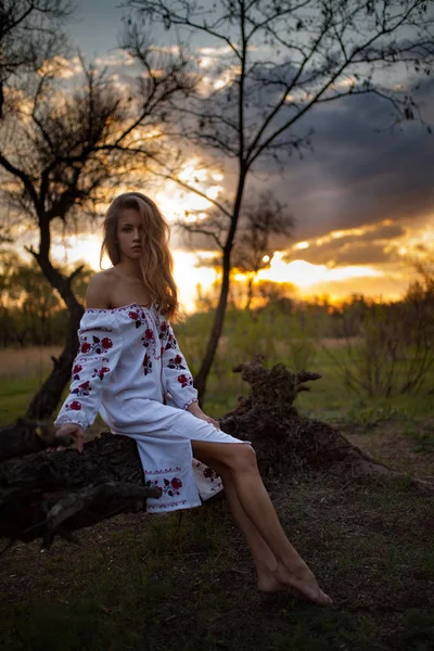 乌克兰全国绣衬衫的年轻女子在日落时坐在树干上. — 图库照片