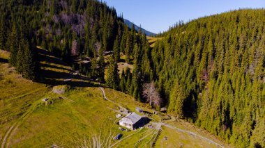 Glade 'deki eski ahşap kulübenin insansız hava aracı görüntüsü.