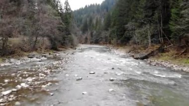 Karpatlar 'daki bir dağ nehrinin hızlı akan suları boyunca insansız hava aracı atışı. Kamera hareketi ileri.