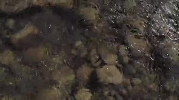 Drone Shooting Fast Flowing Water Mountain River Carpathians Closeup — Stock Video