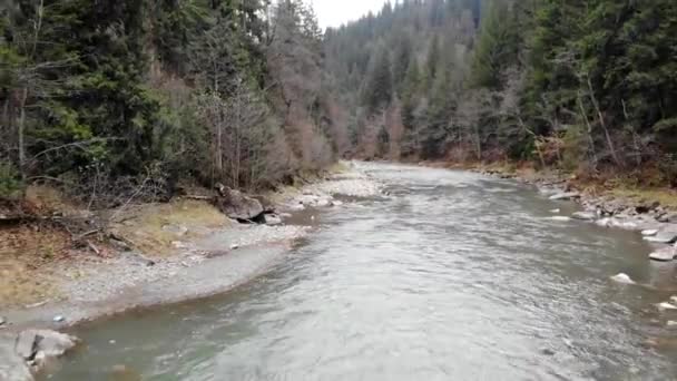 Dron Střílející Podél Rychle Tekoucí Vody Horské Řeky Karpatech Pohyb — Stock video
