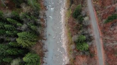 Karpatlar 'daki hızlı akan dağ nehri, orman ve yol boyunca insansız hava aracı atışı..