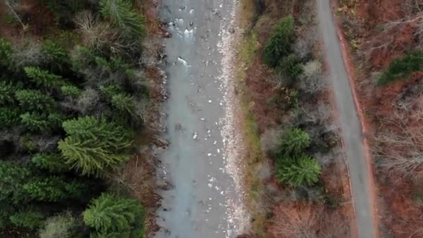 カルパチア山脈の流れの速い山の川 道路に沿ったドローン撮影 — ストック動画