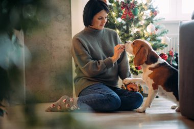 Bir kadın Noel ağacının arka planında köpekle oynuyor..