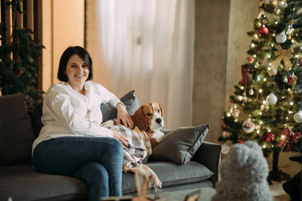 Женщина сидит рядом с собакой на фоне рождественской елки . — стоковое фото