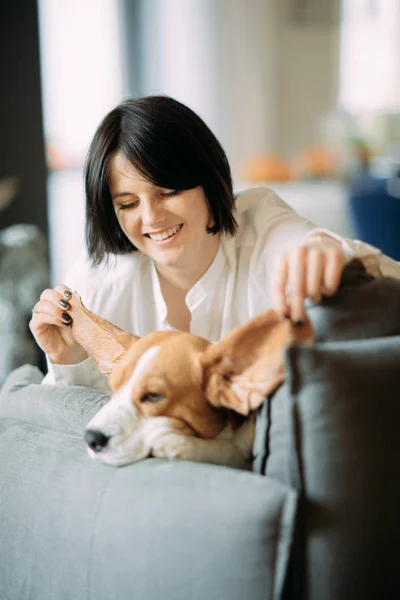 Una mujer se divierte y juega con el perro beagle . — Foto de Stock