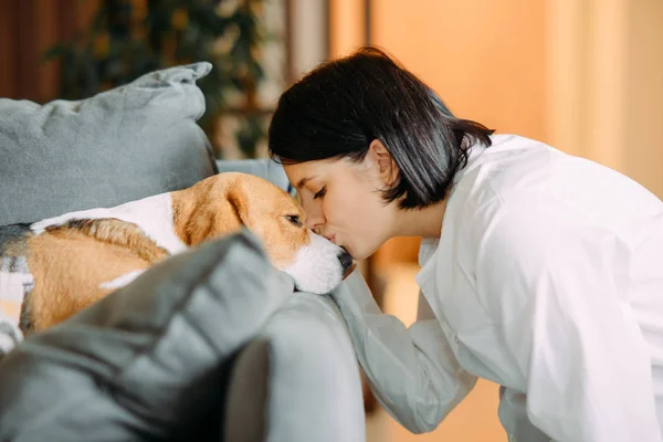 Kanepede yatan bir köpeği öpen bir kadın.. — Stok fotoğraf
