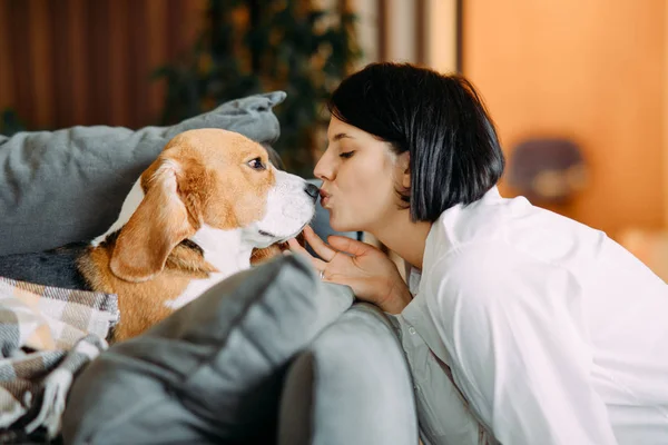 소파에 누워 있는 개에게 키스하는 여자. — 스톡 사진